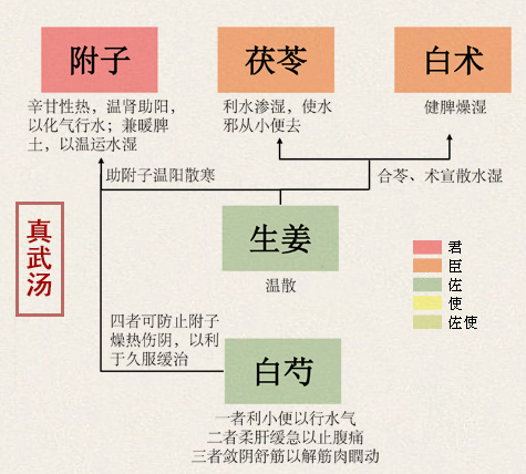 真武汤(图1)
