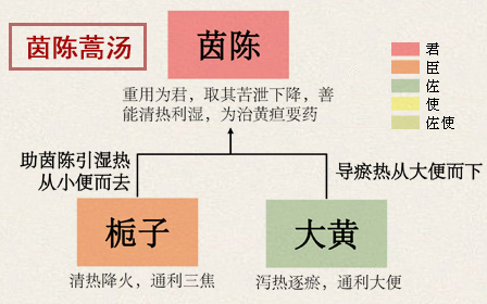茵陈蒿汤(图1)