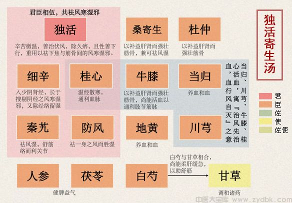 独活寄生汤(图1)