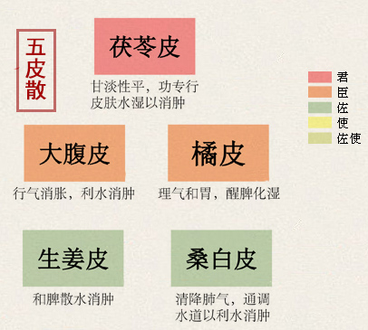 五皮散(图1)