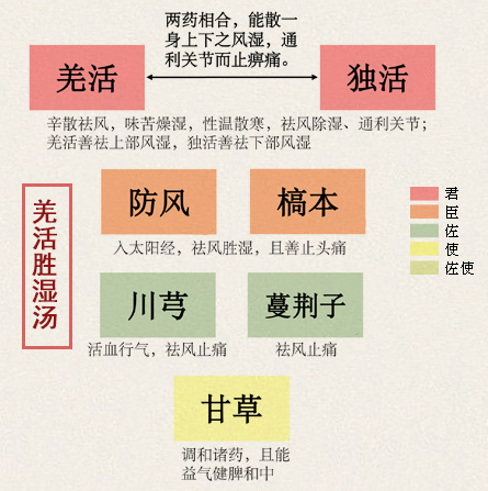羌活胜湿汤(图1)
