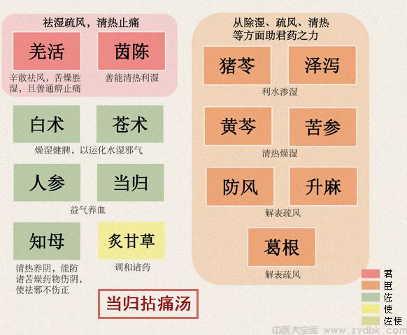 当归拈痛汤(图1)
