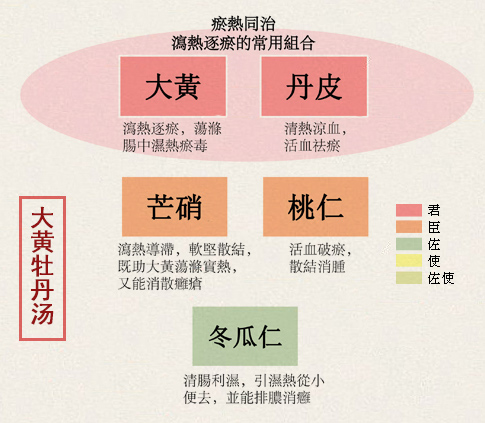 大黄牡丹汤(图2)