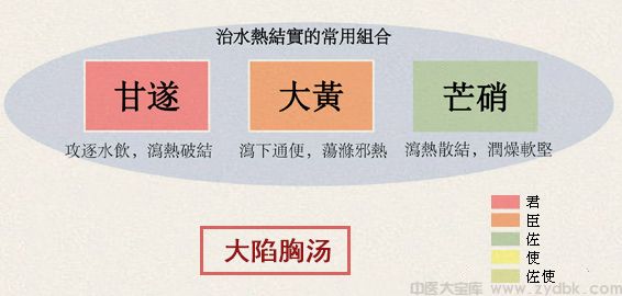 大陷胸汤(图1)