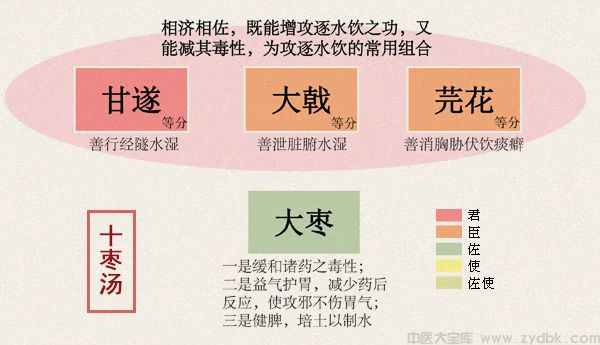 十枣汤(图1)