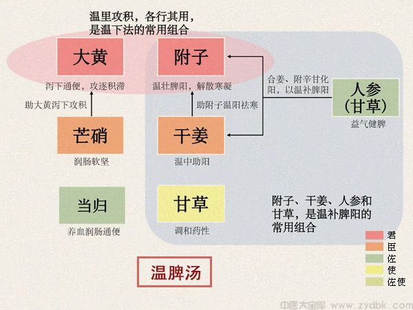 温脾汤(图1)