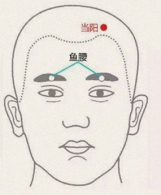 球后穴