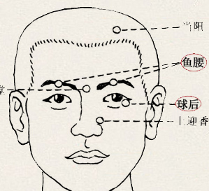 球后穴(图1)