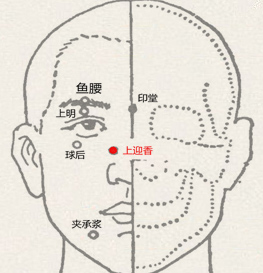 上迎香穴