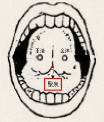 聚泉穴