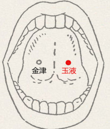 玉液穴