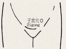 子宫穴
