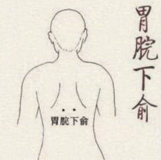 胃脘下俞穴