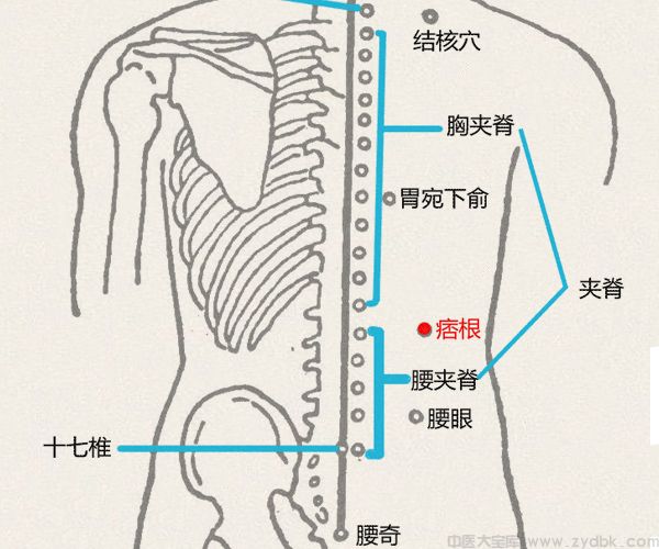 腰宜穴