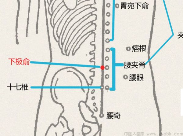 下极俞穴(图1)