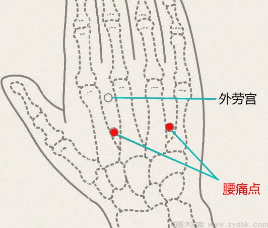 外劳宫穴
