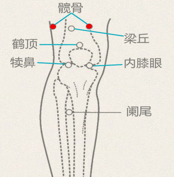 髋骨穴