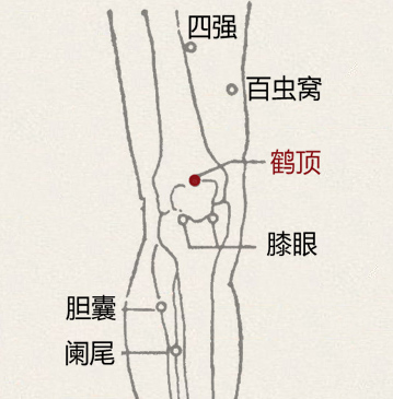 鹤顶穴