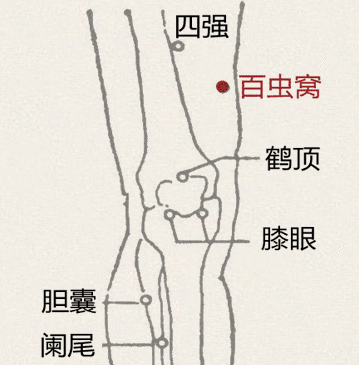 百虫窝穴