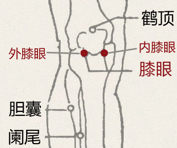 膝眼穴