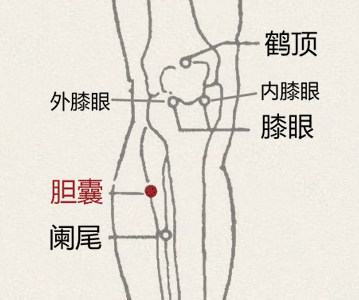 胆囊穴