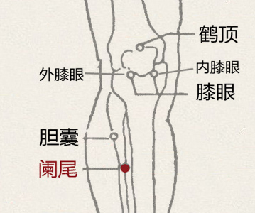 阑尾穴