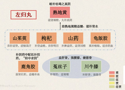 左归丸(图1)