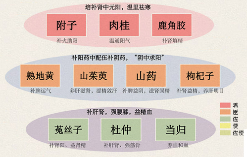 右归丸
