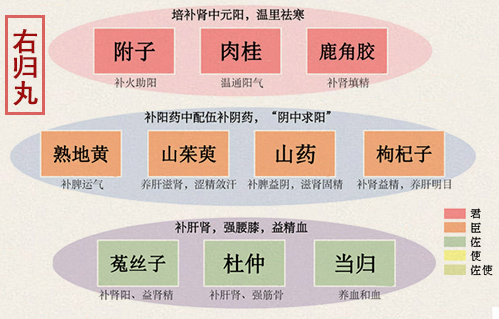 右归丸(图1)