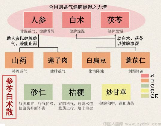 参苓白术散