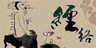 中医十二经络经循行歌(图1)