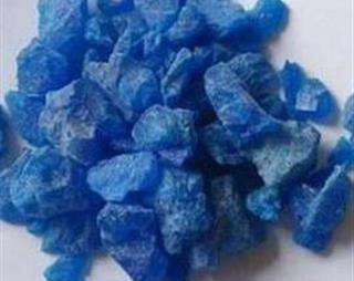 甜瓜蒂