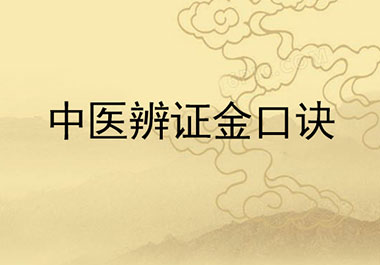 中医辨证之金口诀大全