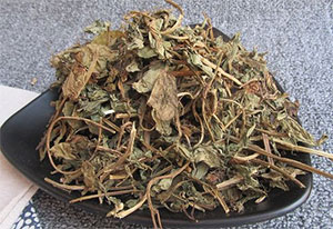 灵香草(图1)