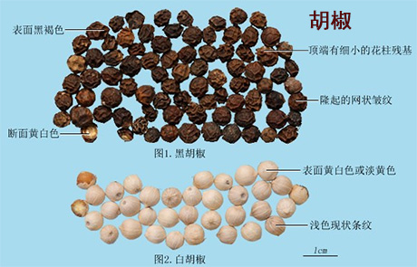 胡椒(图1)