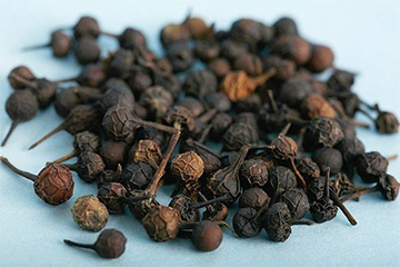 荜澄茄(图1)