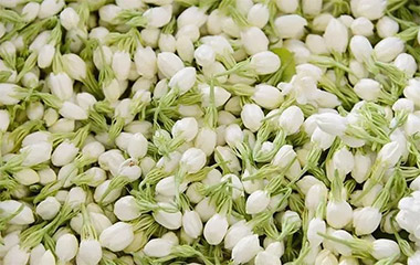 玫瑰花