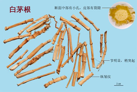 荠菜