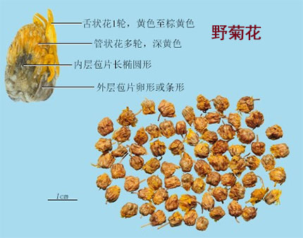 竹沥（竹沥水）