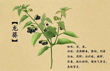 救必应