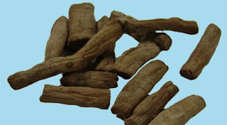 土牛膝(图1)