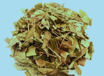葫芦茶(葫芦叶)