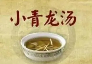 小青龙汤加味治疗(肺寒咳喘证)慢性支气管炎