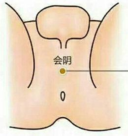 曲骨穴