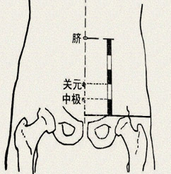 中极穴