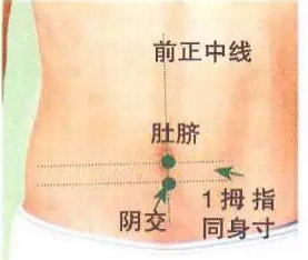阴交穴