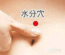 水分穴(图1)