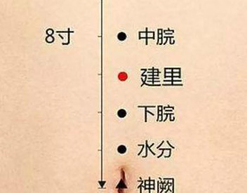 建里穴(图1)