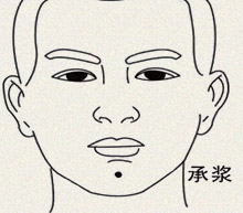 承浆穴(图1)
