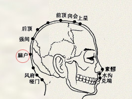 脑户穴